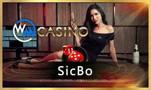 Casino VIP Benefits